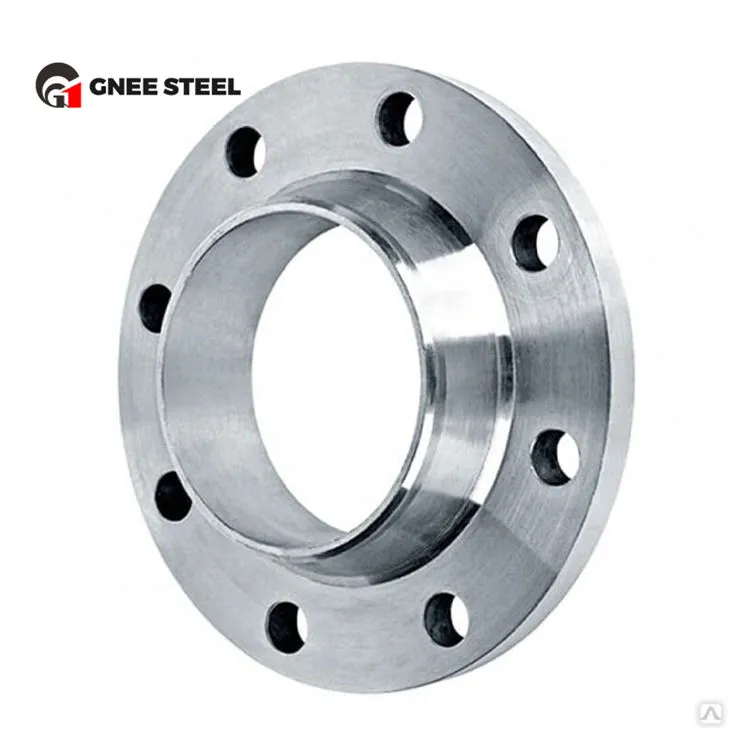 ASTM A182 F310 roestvrijstalen flenzen