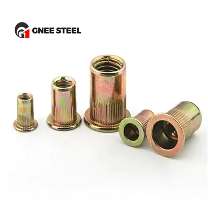 DIN7340 Gegalvaniseerde stalen klinkmoeren