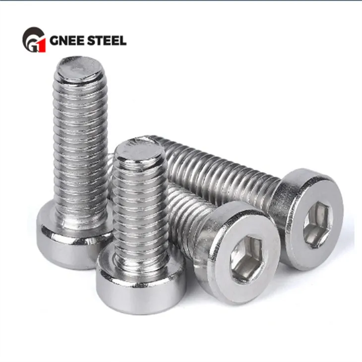 SS201 SS304 SS316 Lage kop zeskant inbusbouten