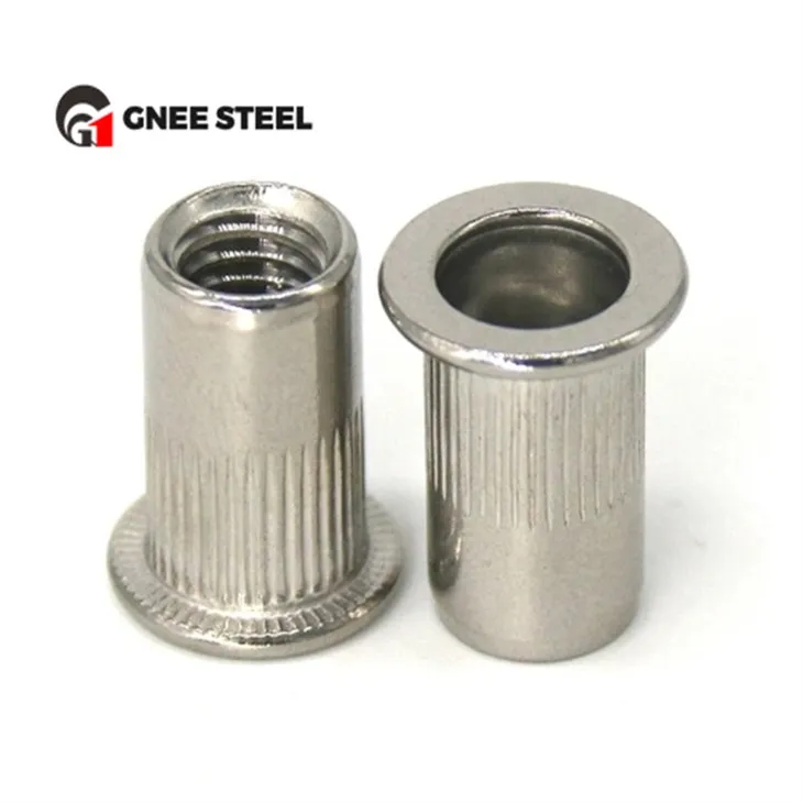 SS304 roestvrijstalen klinkmoeren